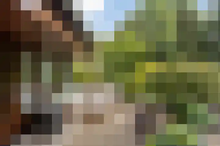 Eifellaan 14 Venray thumbnail 23