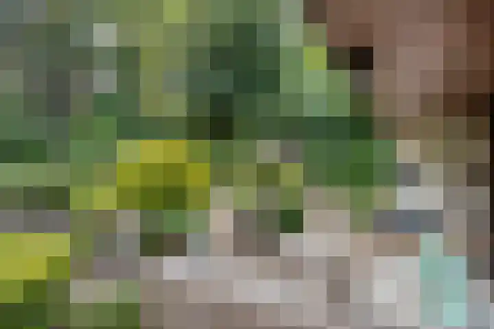 Eifellaan 14 Venray thumbnail 24