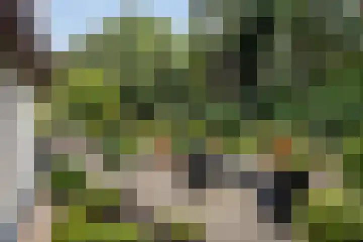 Eifellaan 14 Venray thumbnail 25