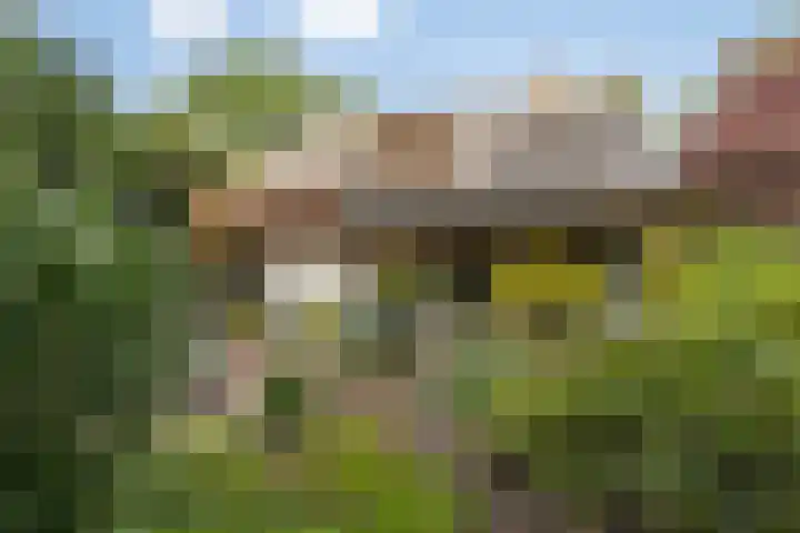 Eifellaan 14 Venray thumbnail 27