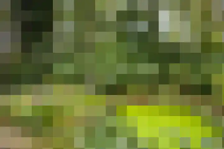 Eifellaan 14 Venray thumbnail 28