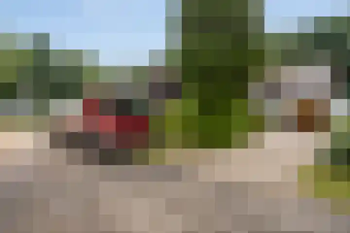 Eifellaan 14 Venray thumbnail 29