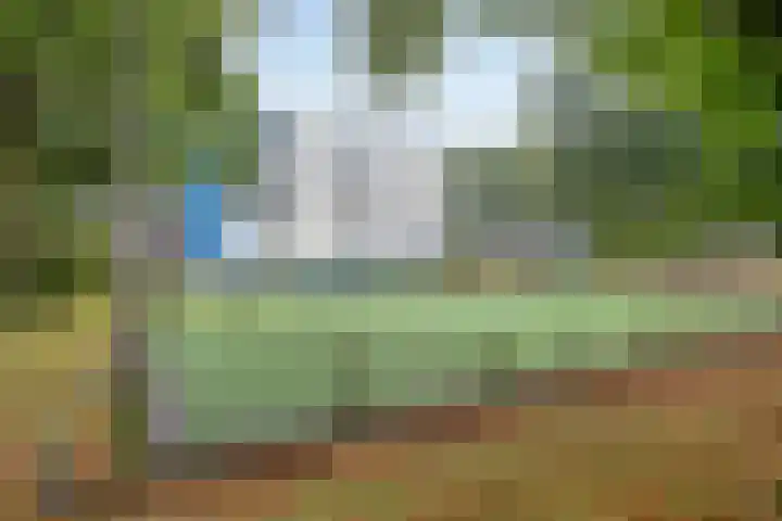 Eifellaan 14 Venray thumbnail 31