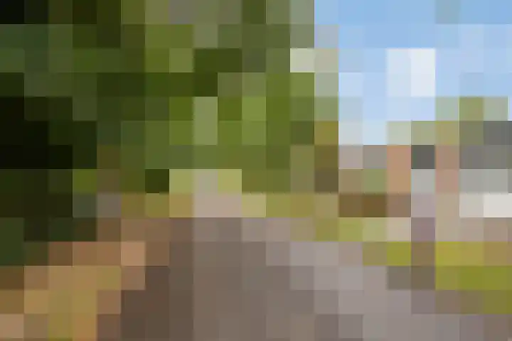 Eifellaan 14 Venray thumbnail 32