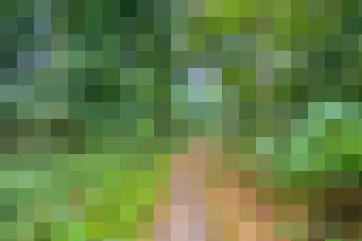 Eifellaan 14 Venray thumbnail 33
