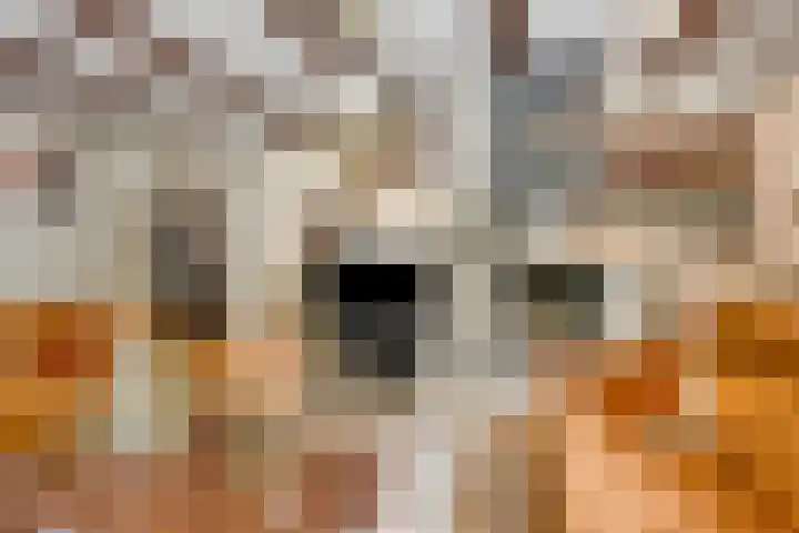 Eifellaan 14 Venray thumbnail 5