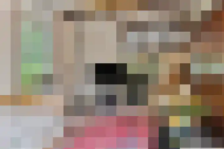 Eifellaan 14 Venray thumbnail 8