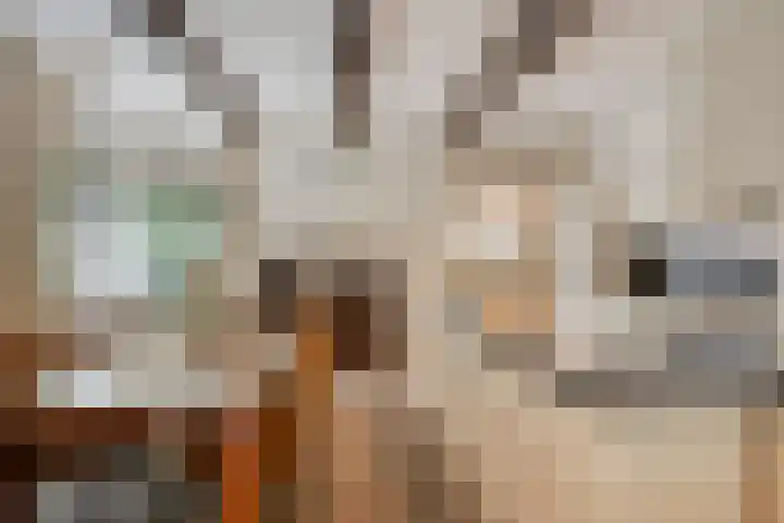 Eifellaan 14 Venray thumbnail 9