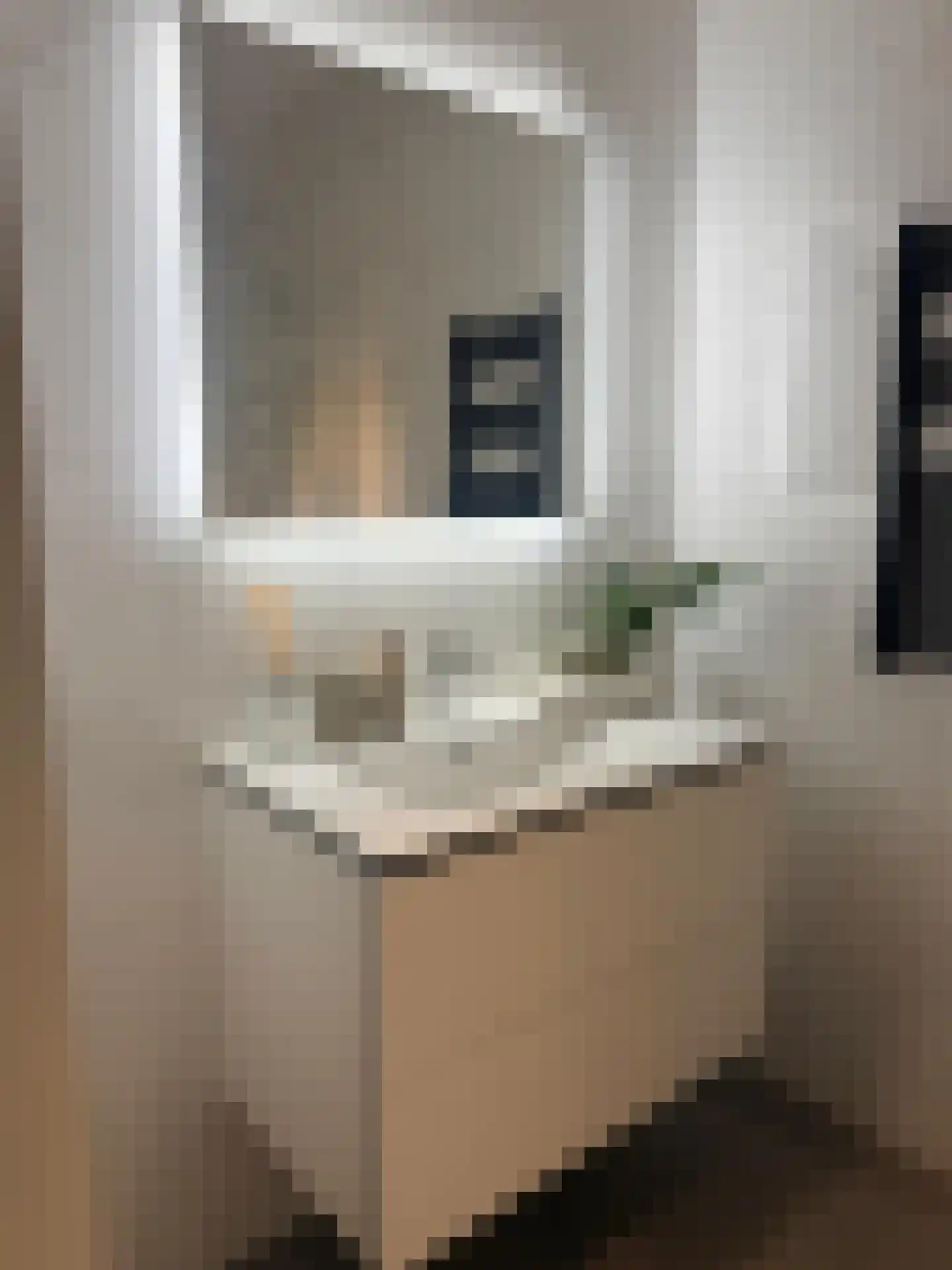 Eiffelstraat 105 Hoofddorp thumbnail 34