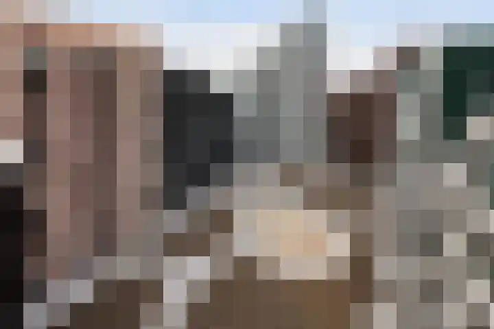 Eiffelstraat 217 Hoofddorp thumbnail 5