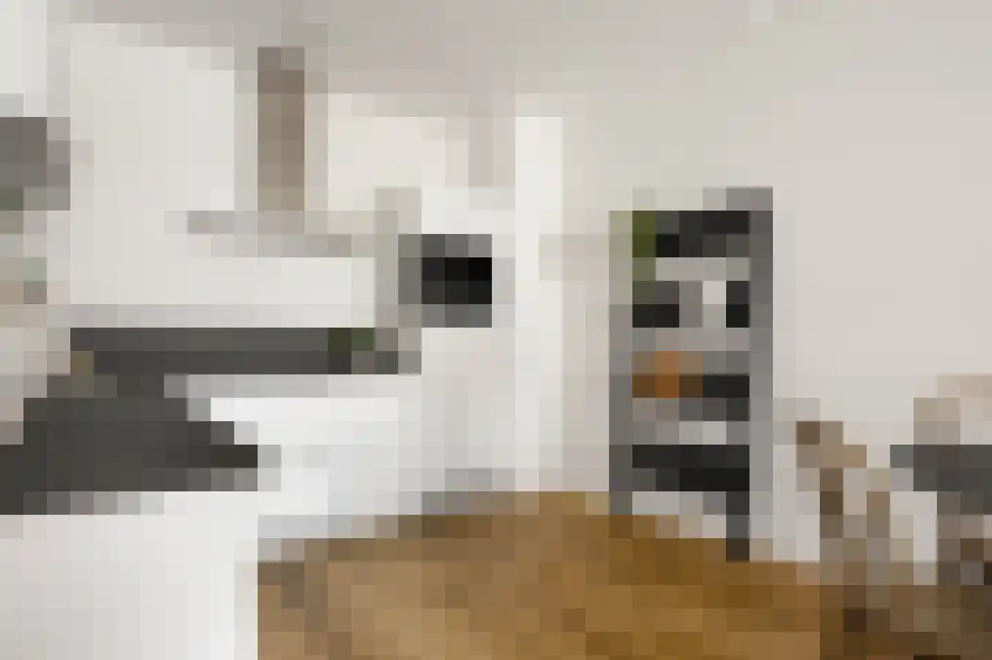 Eiffelstraat 57 Hoofddorp thumbnail 19
