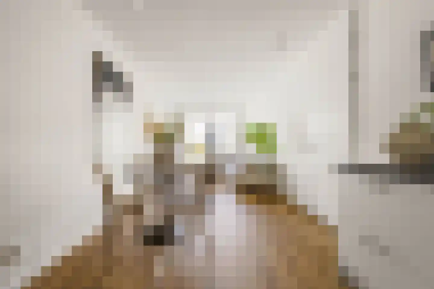 Eiffelstraat 57 Hoofddorp thumbnail 21