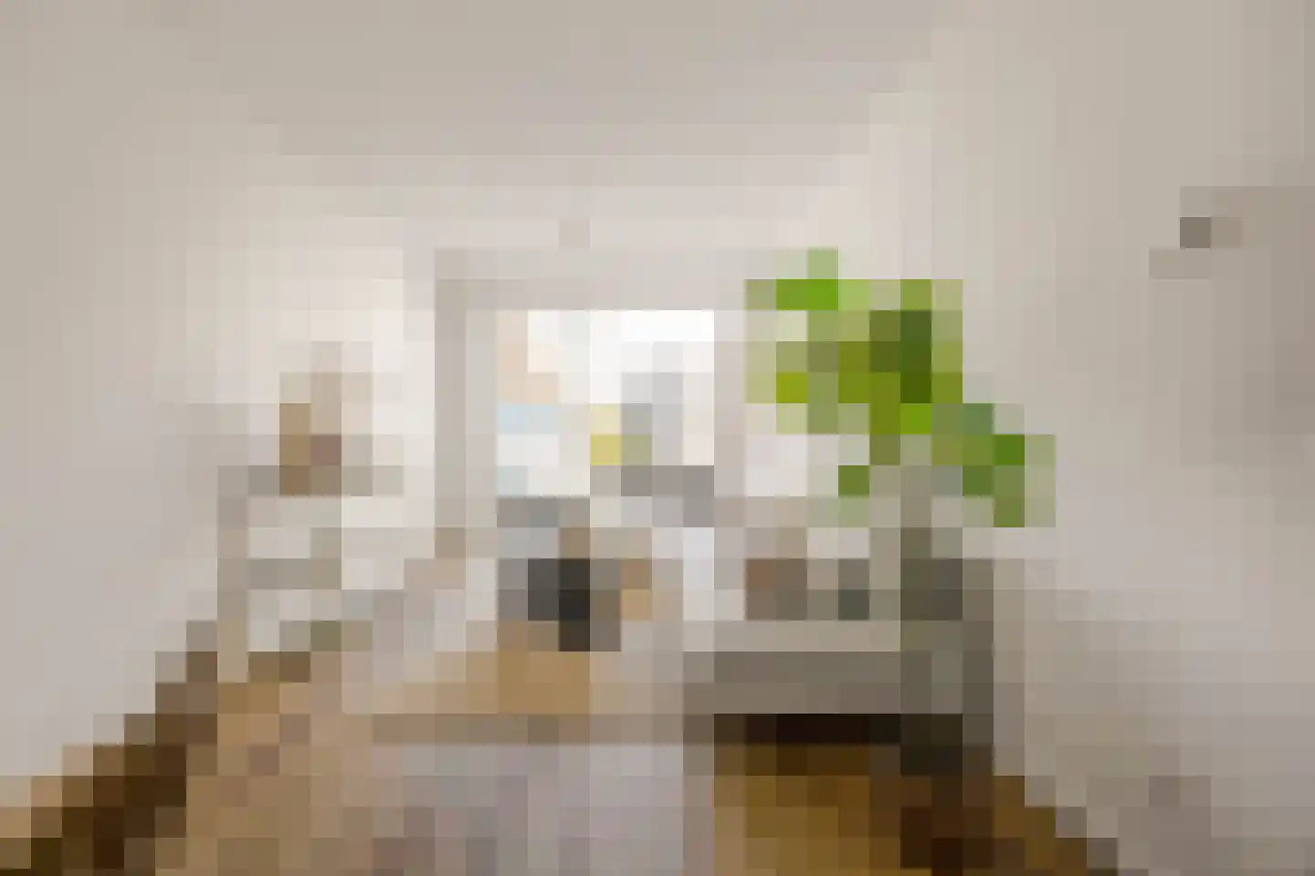 Eiffelstraat 57 Hoofddorp thumbnail 22