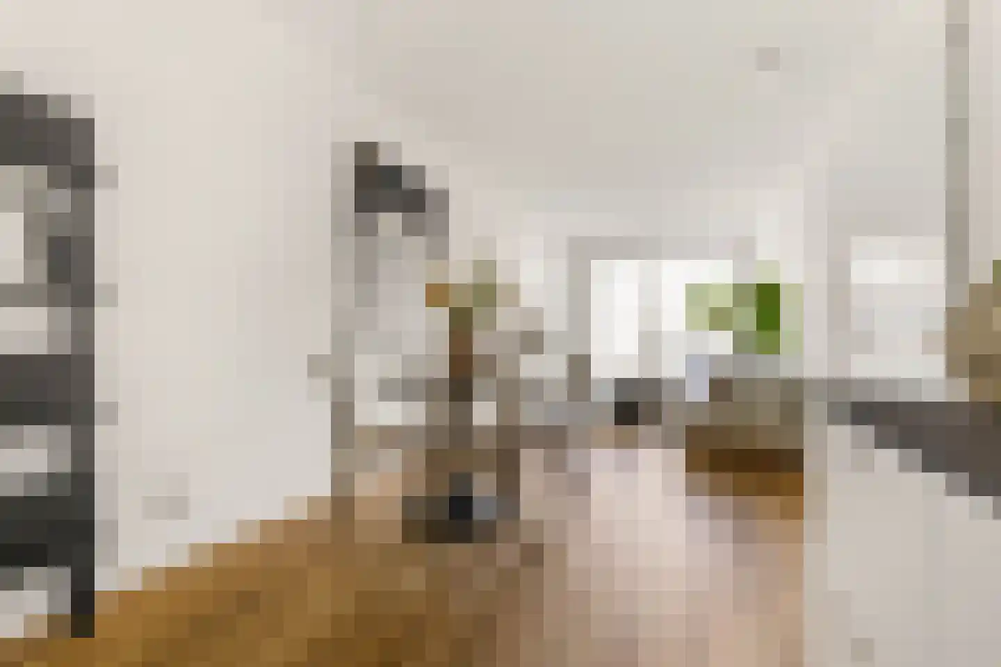 Eiffelstraat 57 Hoofddorp thumbnail 7