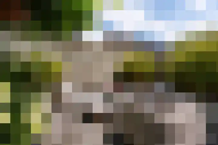 Eigelhorst 26 Rotterdam thumbnail 19