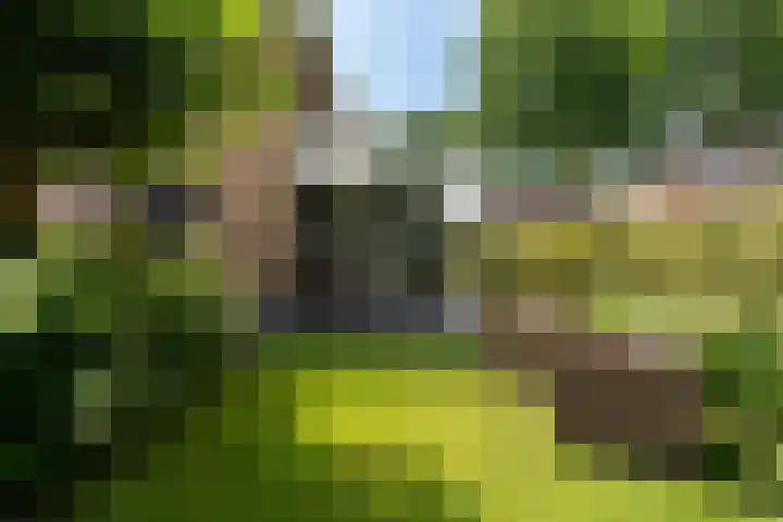 Eigelhorst 26 Rotterdam thumbnail 21