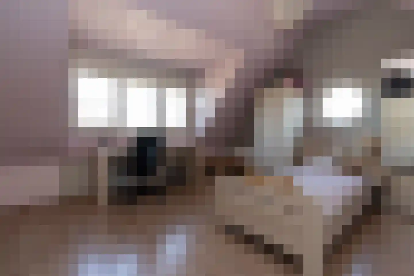 Eigen Erf 1 Weert thumbnail 34