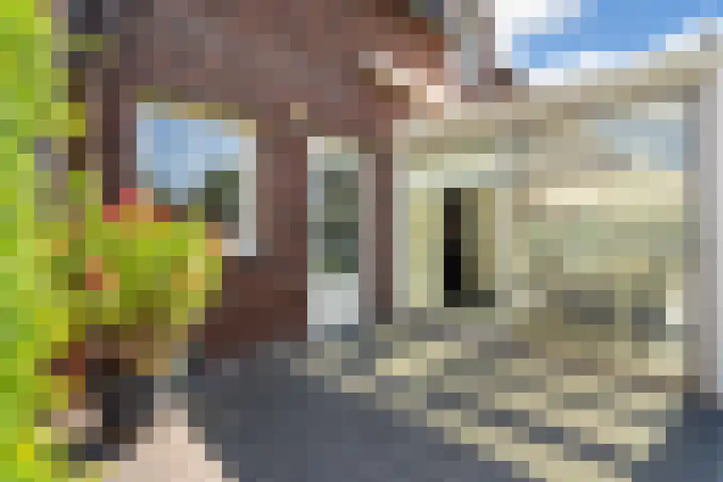 Eigen Erf 3 Weert thumbnail 36
