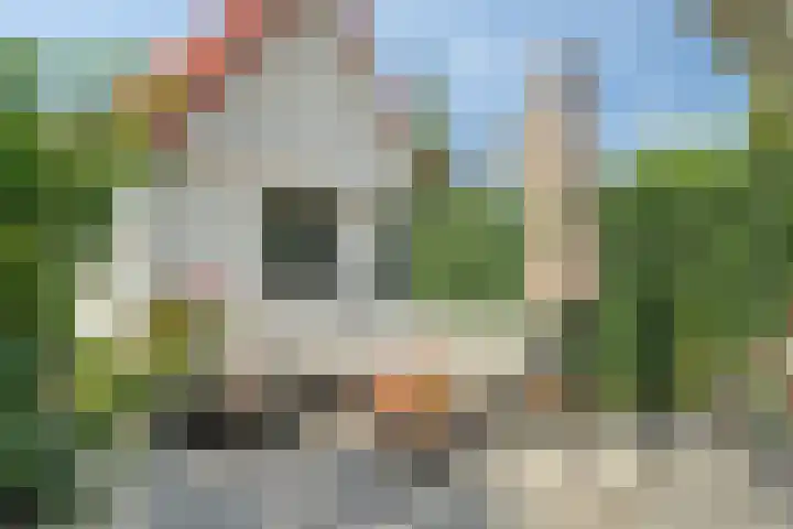 Eigen Heim 8 Westervoort thumbnail 20