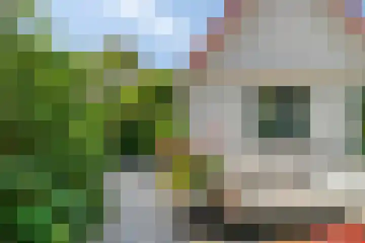 Eigen Heim 8 Westervoort thumbnail 21