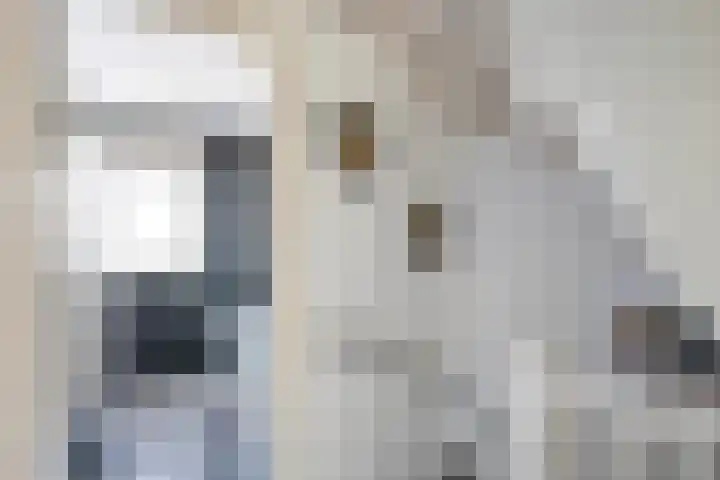 Eigen Heim 8 Westervoort thumbnail 32