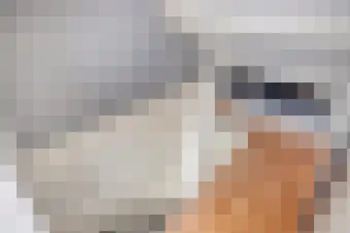 Eigen Heim 8 Westervoort thumbnail 33