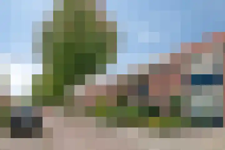 Eigen Heim 8 Westervoort thumbnail 39