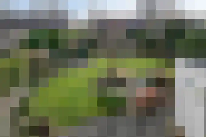 Eigendomweg 29 Soest thumbnail 29