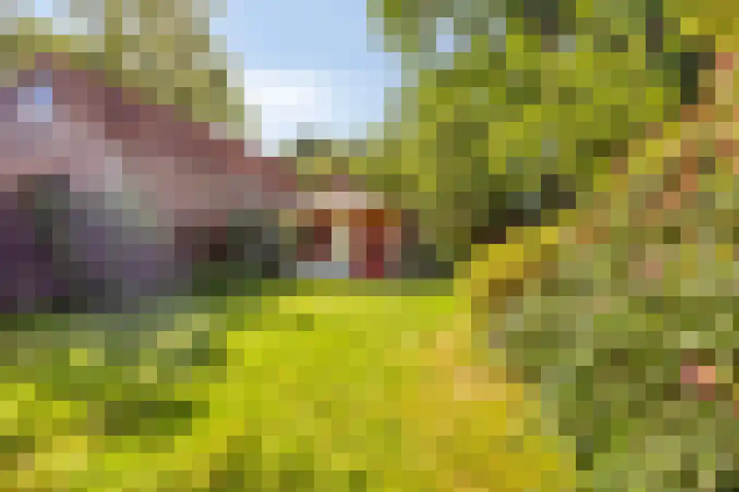 Eigendomweg 85 Soest thumbnail 39