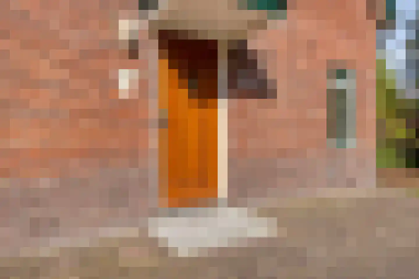 Eigendomweg 85 Soest thumbnail 47