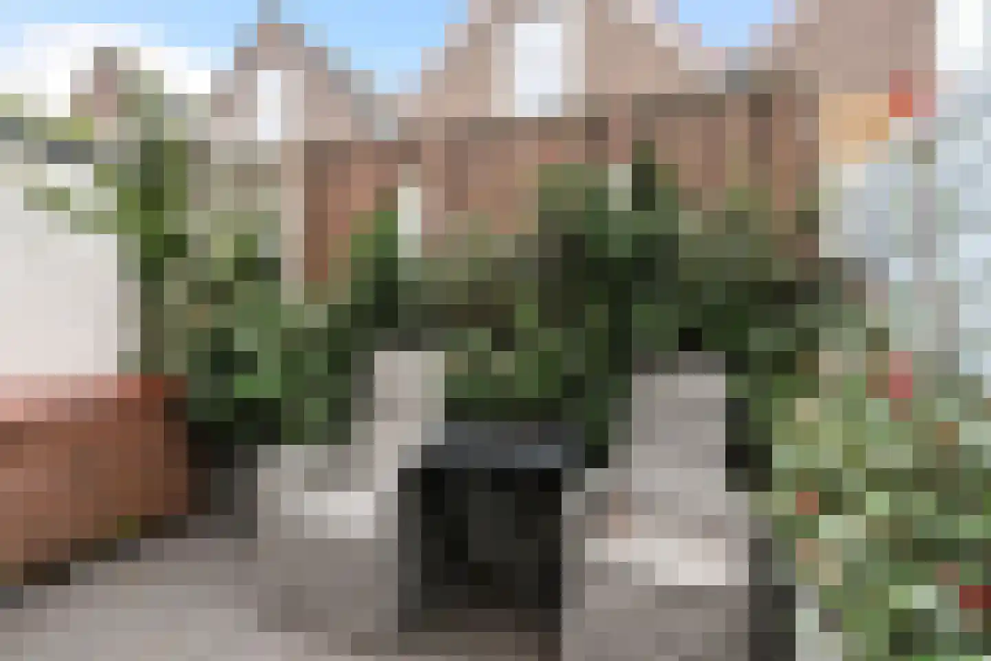 Eigenhaard 31 Dordrecht thumbnail 18