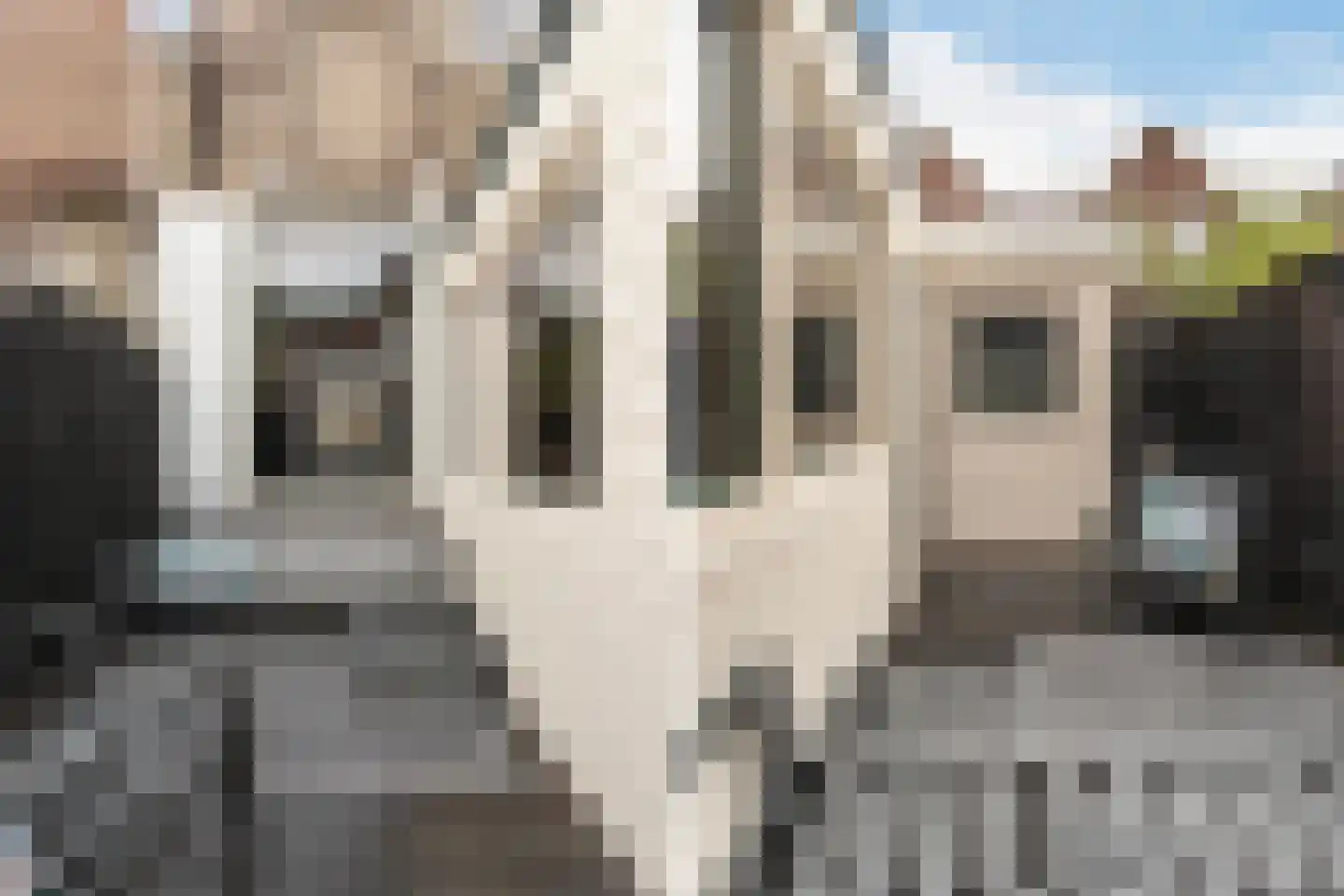 Eigenhaard 39 Dordrecht thumbnail 19