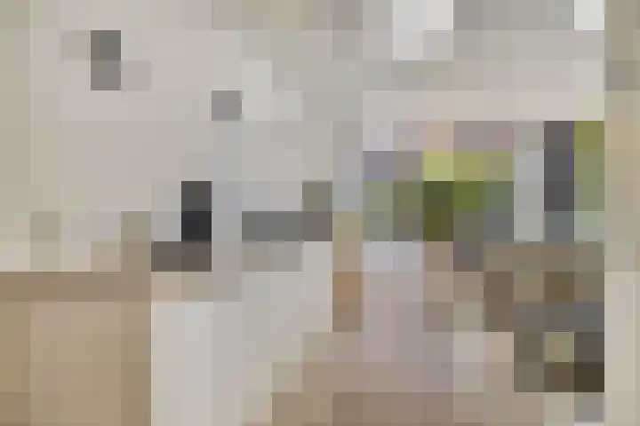 Eigenhaardstraat 21 Middelburg thumbnail 12