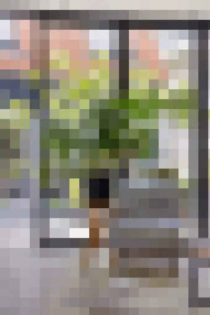 Eigenhaardstraat 21 Middelburg thumbnail 17