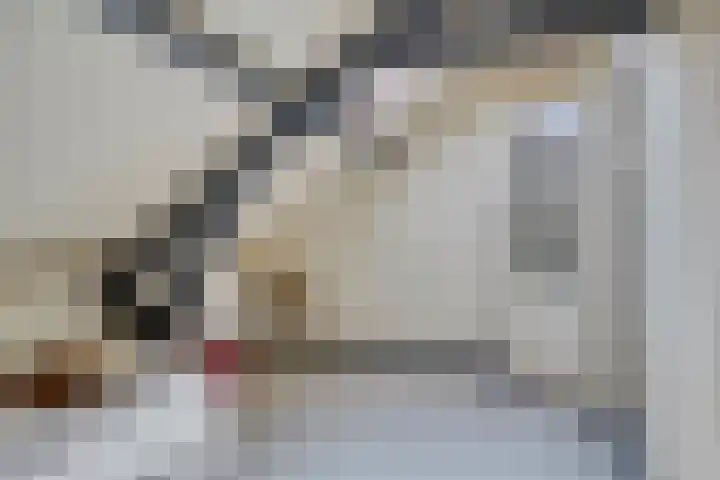 Eigenhaardstraat 21 Middelburg thumbnail 27