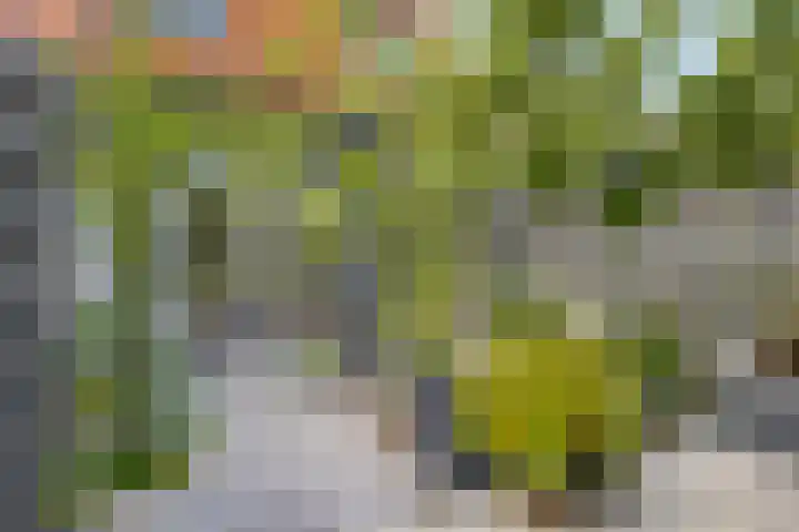 Eigenhaardstraat 21 Middelburg thumbnail 33