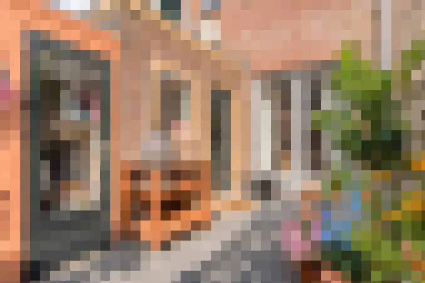 Eigenhaardstraat 26 Zwolle thumbnail 26