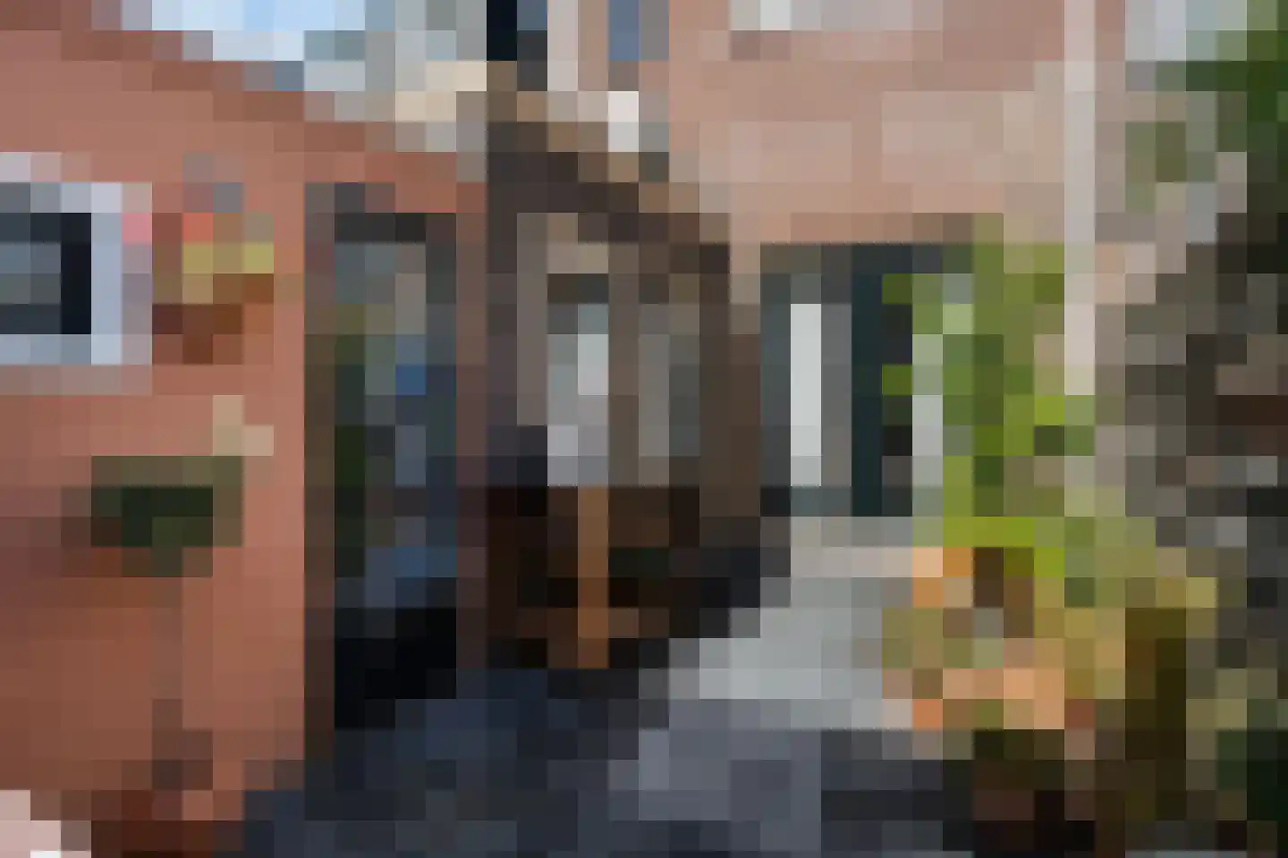 Eigenhaardstraat 26 Zwolle thumbnail 27