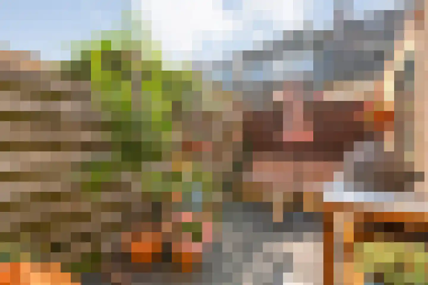 Eigenhaardstraat 26 Zwolle thumbnail 28