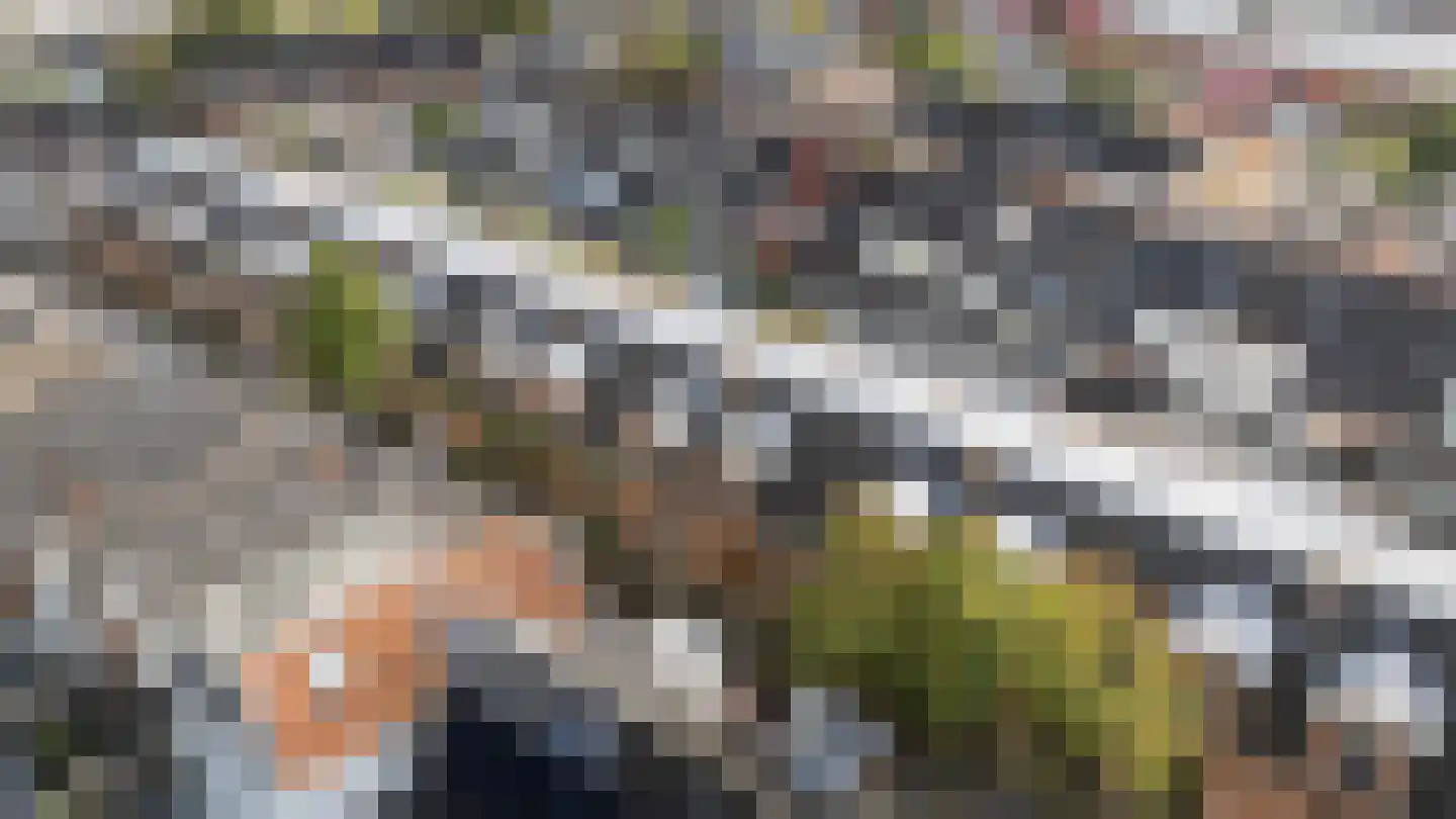 Eigenhaardstraat 26 Zwolle thumbnail 29