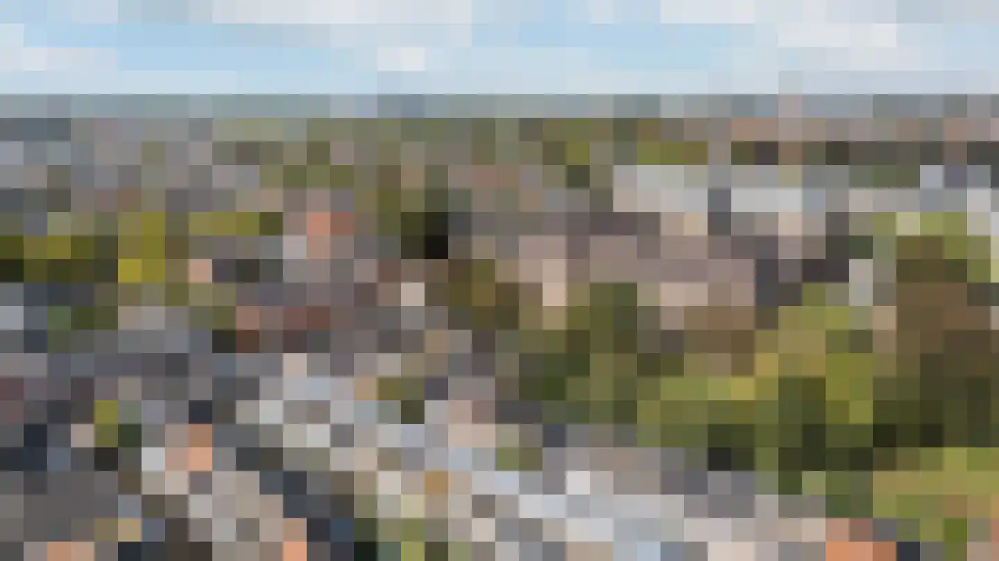 Eigenhaardstraat 26 Zwolle thumbnail 30