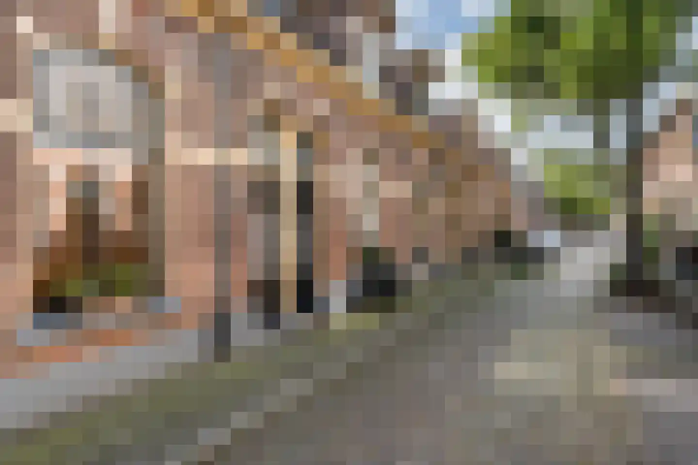 Eigenhaardstraat 26 Zwolle thumbnail 5