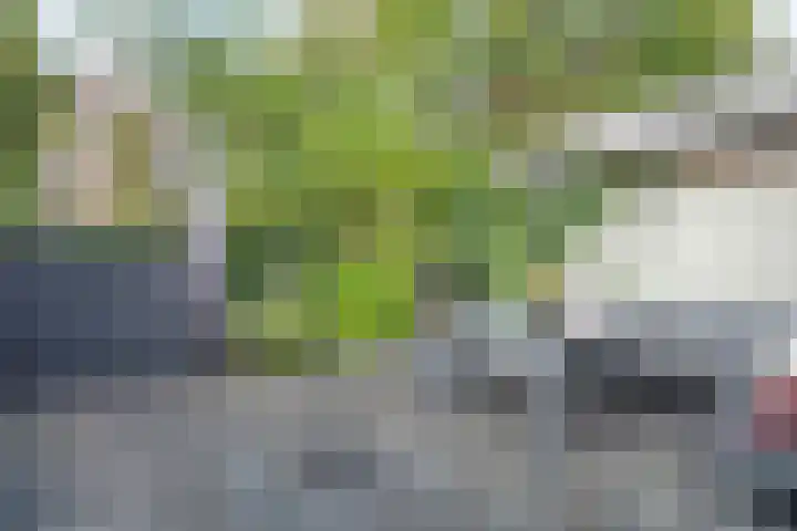 Eigenhaardstraat 35 Zwolle thumbnail 30