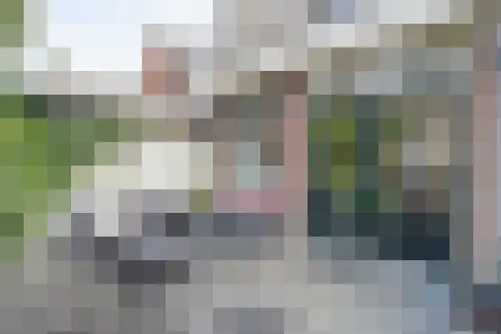 Eigenhaardstraat 35 Zwolle thumbnail 31