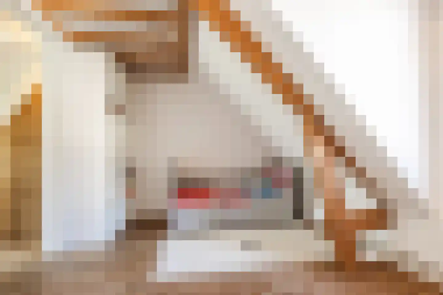 Eigenhaardstraat 38 Zwolle thumbnail 33