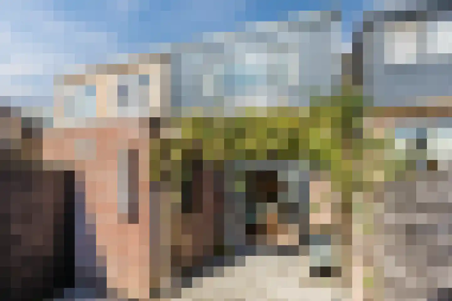 Eigenhaardstraat 38 Zwolle thumbnail 52
