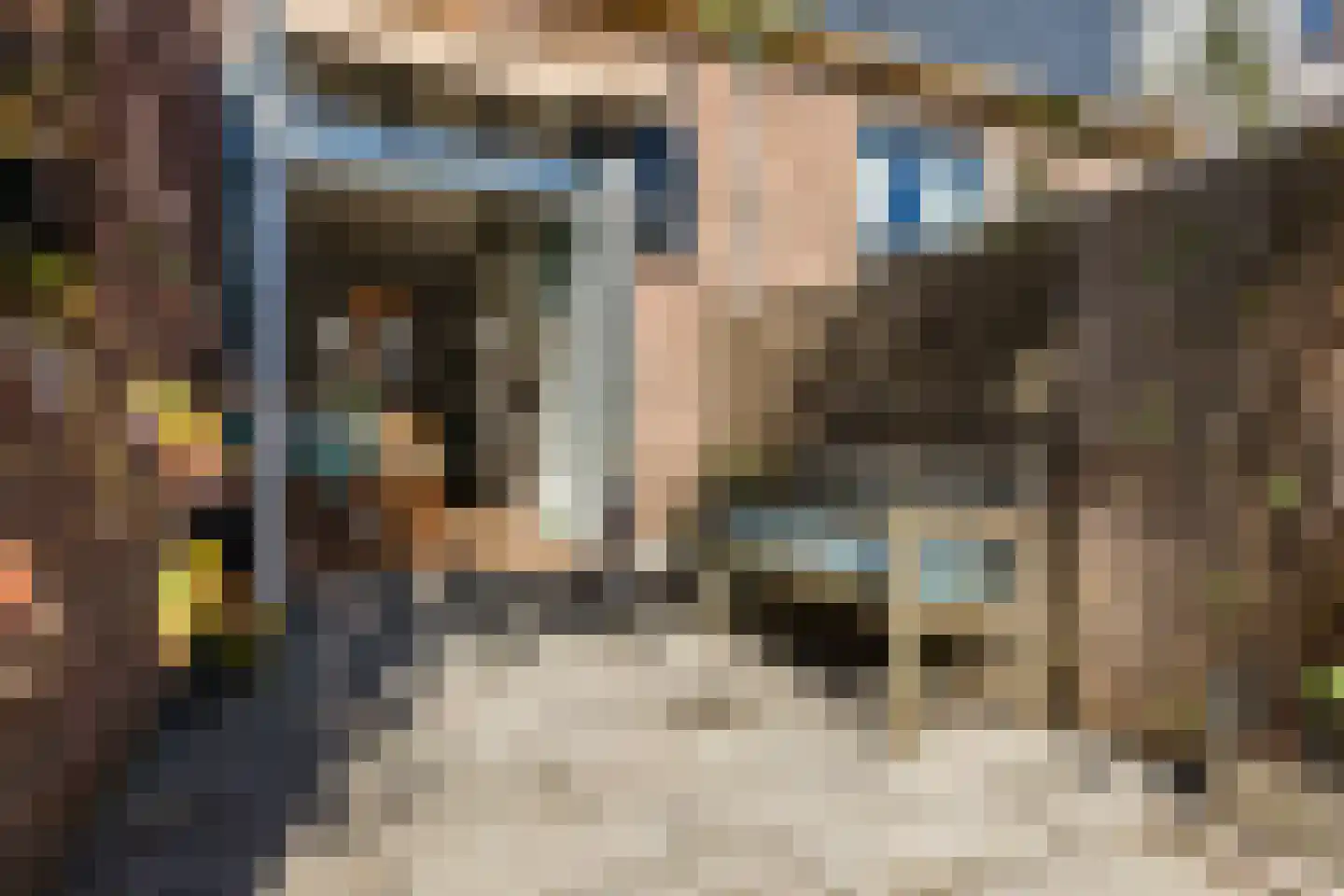 Eigenhaardstraat 38 Zwolle thumbnail 53