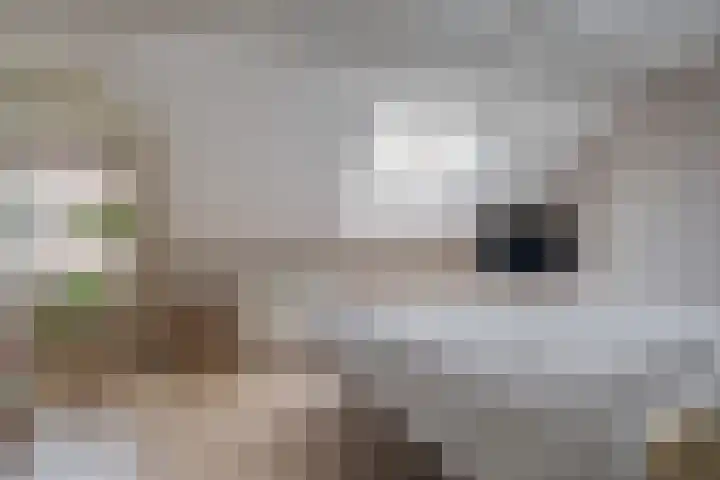 Eigenhaardstraat 52 Zwolle thumbnail 27