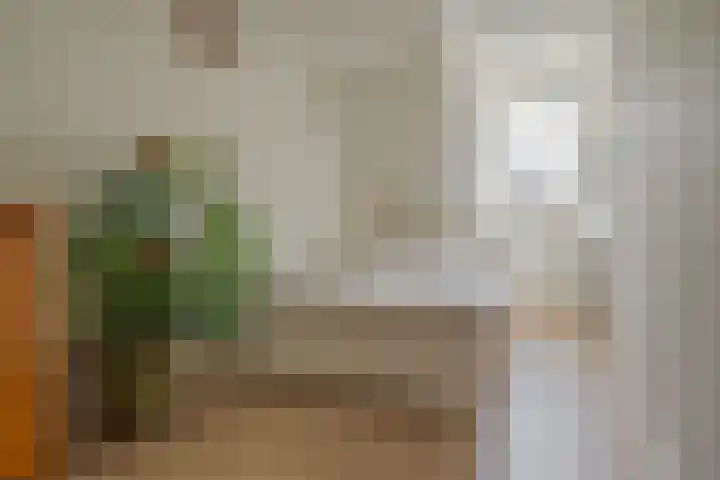 Eigenhaardstraat 52 Zwolle thumbnail 30
