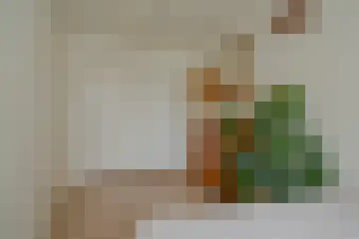 Eigenhaardstraat 52 Zwolle thumbnail 31